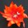 Epiphyllum-Hybr. Sun Flare Bl&uuml;te orange-magenta