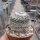Mammillaria woodsii