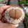 Lithops lesliei v. mariae C 141 TL