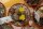 Lithops terricolor C 345