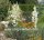 Yucca filamentosa cv. Bright Edge (dw)
