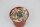 Turbinicarpus schmiedickeanus v. rubriflorus VM 805  CITES, not outside EU