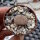 Lithops schwantesii ssp. schwantesii v. schwantesiiC 145