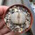 Lithops gracilidelineata ssp. gracilidelineata v. gracilidelineata C 374