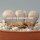 Lithops marmorata v. marmorata cv. framesii C 365 60 km NE Springbok, Northern Cape, SA