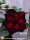 Adenium obesum-Hybr.  Legend 942