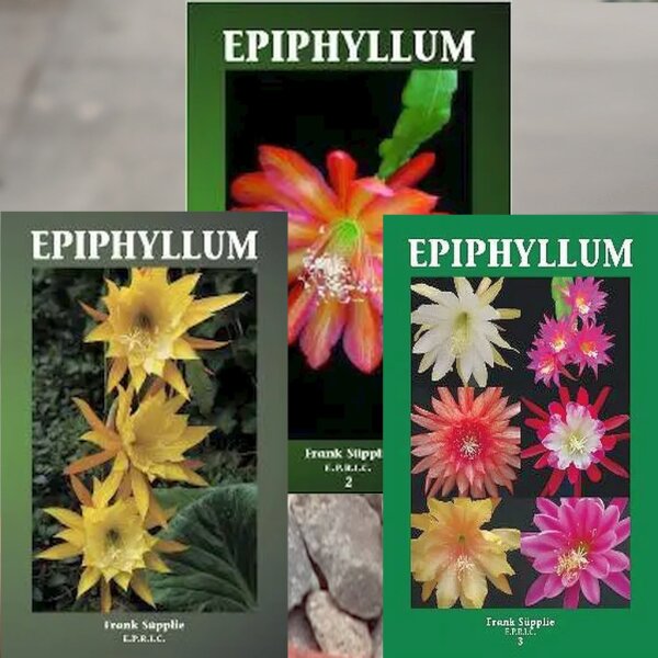 Epiphyllum Band 1, 2 und 3 - Frank S&uuml;pplie